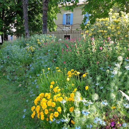 Domaine Les Rivales Apartment Cavaillon Exterior foto